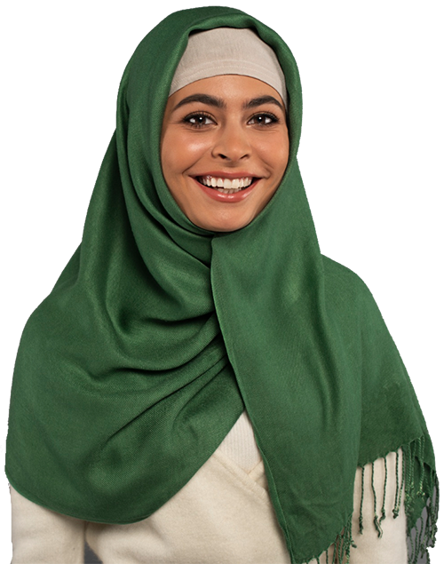 Habeebi Arabic Executive Translator